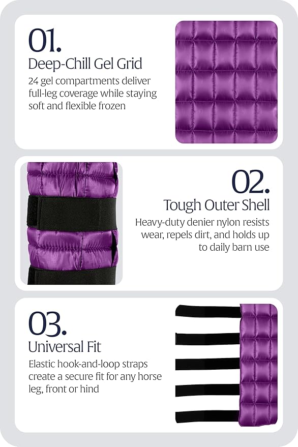 Equinavia Cool Relief Therapy Ice Boots Leg Wraps for Horses, Gel Pack with Adjustable Straps | 16.5" x 15.5" Single - Purple - Single - One Size