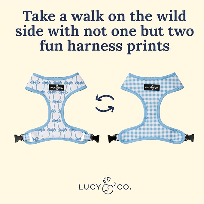 Lucy & Co. Cute Reversible Dog Harness Walking Halter - Best Designer Pet Harnesses for XS - XL Dogs - Padded Adjustable Vest for Easy Walking - Small - White with Blue Bows
