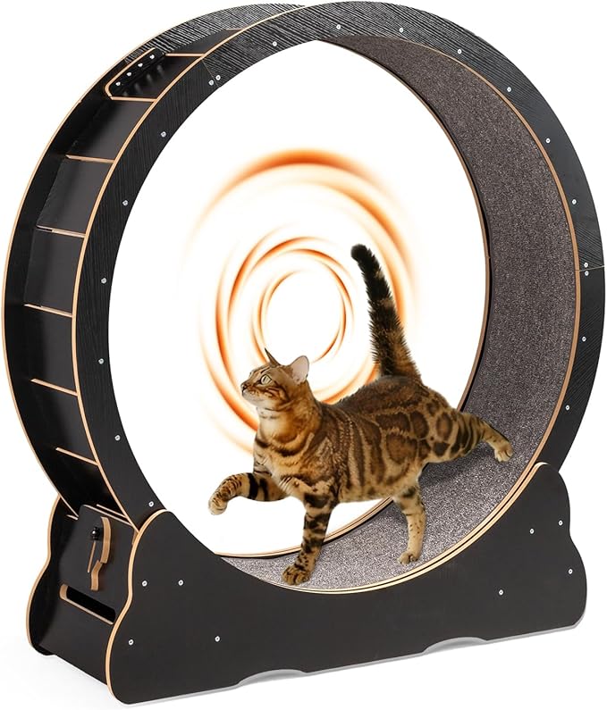 VINGLI Cat Wheel, Large Exercise Wheel for Indoor Cats, Silent Cat Running Wheel with Safety Lock, Black (39.4 inch)