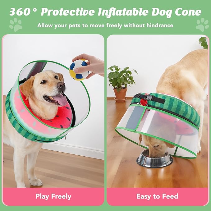 Inflatable Dog Cone with Anti-Licking Clear Shield, Protective Dog Donut Collar After Surgery, Adjustable Soft Recovery Cone for Pets, Alternative Collar with Buckle Strap (Watermelon, M+)