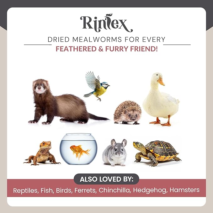 Dried Mealworms 10 lbs - More Protein Than Black Soldier Fly Larvae for Chickens (BSFL) - Wild Bird Seed for Outside Feeders - Worms for Chickens, Wild Birds, Bluebirds, Woodpeckers
