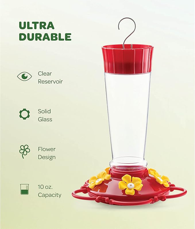Hummingbird Feeder 10 oz Glass Hummingbird Feeders for Outdoors, with Built-in Ant Guard - Circular Perch with 5 Feeding Ports - Wide Mouth for Easy Filling/2 Part Base for Easy Cleaning