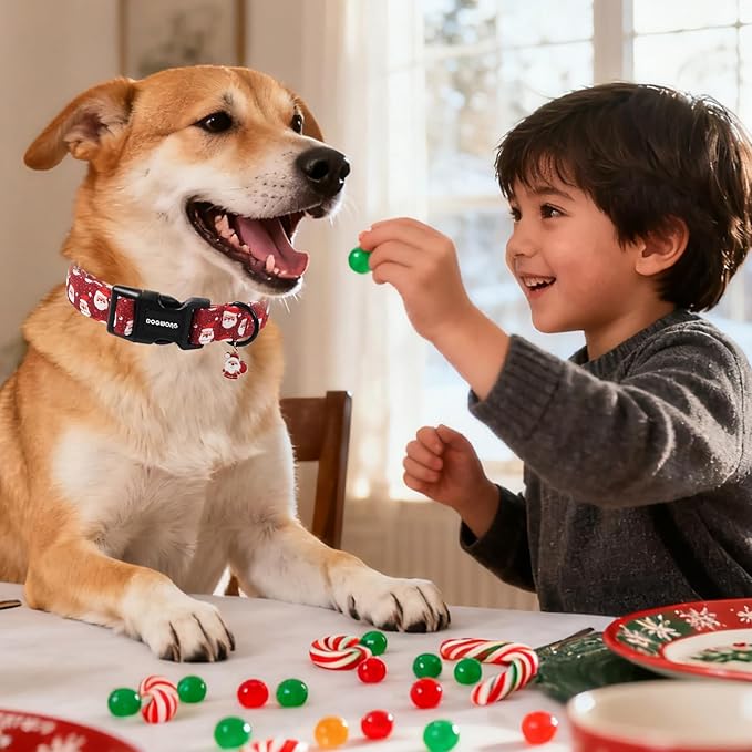 DOGWONG Christmas Dog Collar, Red Santa Claus Print Cute Dog Collars Winter Holiday Male Female Adjustable Dog Collar for Small Medium Dogs