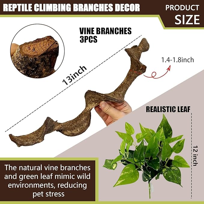 BNOSDM 3PCS Natural Reptile Climbing Branches Decor,1.2-1.8" Thick Natural Snake Climbing Forest Wood with Plant Leaf Decor,Lizard Forest Branch,Geckos Tank Tree Trunk Accessories for Bearded Dragons