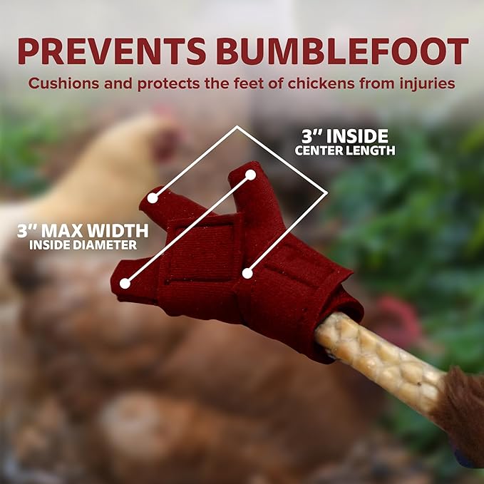 Chicken Shoes for Injured Feet – Protective Neoprene Footwear for Chicken, Open-Toe Design for Bumblefoot Relief, Made in USA - Standard, 3" Max. Inside Width, Red