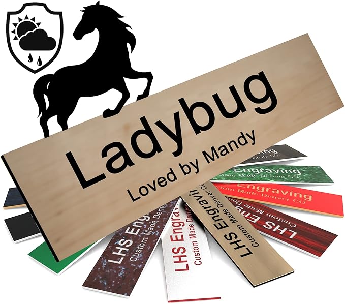 Personalized Horse Stall Name Plates, 2x10 Horse Stall Signs with Adhesive, All Weather UV Protected, Cashew Plastic Black Letters - Made in USA - N6