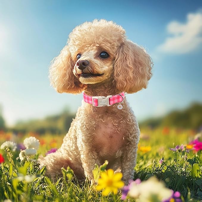 Girl Dog Collar for Medium Dogs - Cute Pink Plaid Puppy Collar, Soft Adjustable Spring Summer Female Dog Collars with Quick Release Buckle M