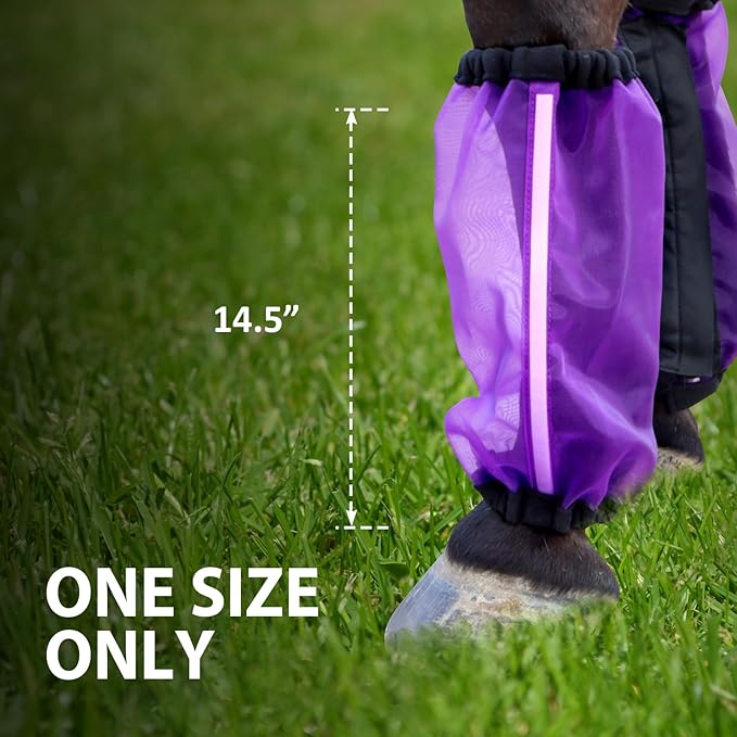 Universal Size Horse Leggings Fine Mesh Horse Fly Boots Greatly Reduce Stomping Breathable Horse Boots Leg Wraps (Set of 4) Purple