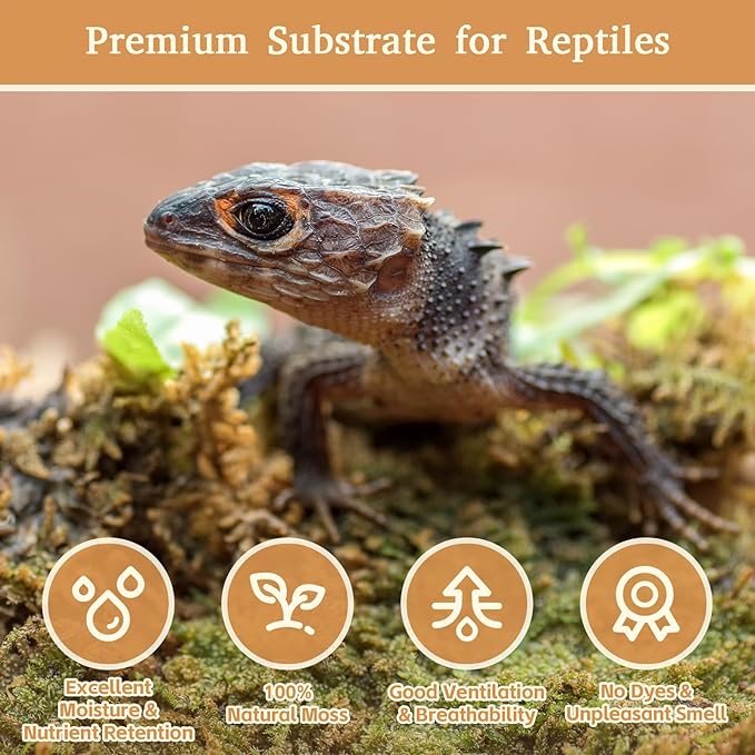 Riare 14OZ Premium Sphagnum Moss for Reptiles- 20QT Natural Reptile Moss Dried, Forest Live Moss for Terrarium, Frogs Snake Peat Moss Bedding for Leopard Gecko Turtle Anoles Salamanders Orchids Plants