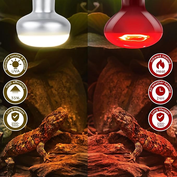 Reptile Infrared Heat Lamp Bulb 75W, 2-in-1 Day & Night Combo, Infrared Heat Lamp & UVA Sunlight Heating Lamp for Reptile Terrariums