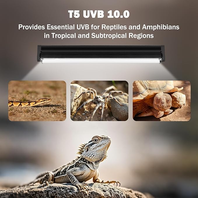 T5 10.0 UVB Reptile Light Fixture, T5 UVA UVB Light Tube Lamp Blub 24W 22" for Bearded Dragon, Tortoise,Desert Lizards,Leopard Gecko,Reptile & Amphibian Lamp