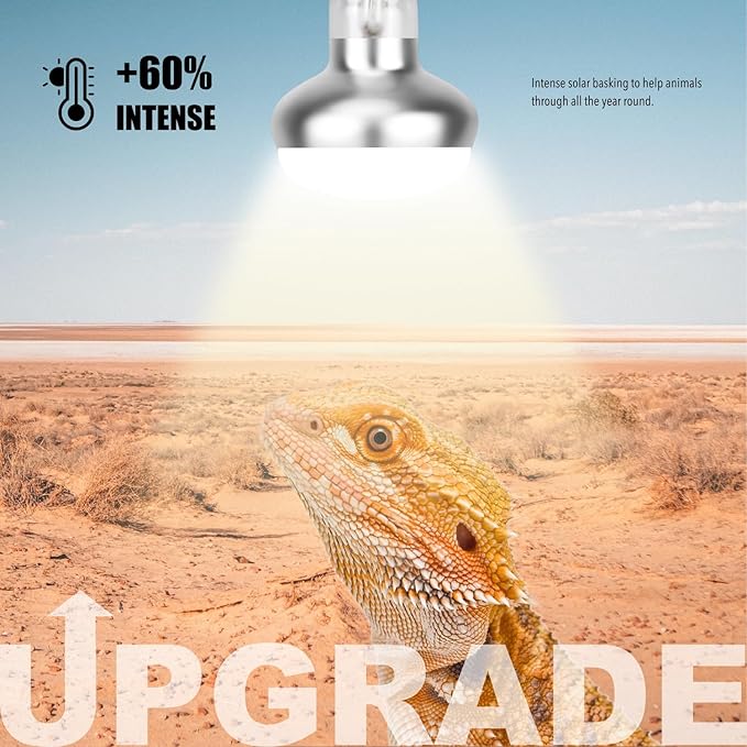 Reptile Heat Lamp, 2 Pack 75W Intense Basking Bulbs Light for Reptiles, UVA Daylight Basking Light for Bearded Dragon, Lizard, Gecko,Turtle, Reptile Heat Bulb