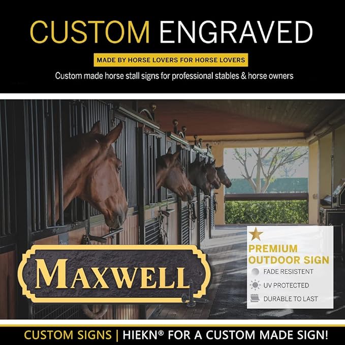 Acrylic Horse Stall Name Plate, 2.4" x 8" Personalized Stall Signs, UV Protected, Custom Pet Name Sign, All Weather Adhesive, Mounting (Gold, Style 5)
