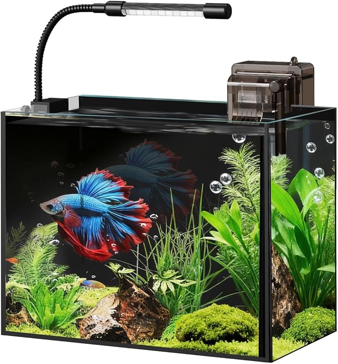 Glass Fish Tank Kit, 0.5 Gallon Betta Fish Tank Aquarium Starter Kit with Filter, Lights, Lid, for Betta, Goldfish, Small Fish or shrimg