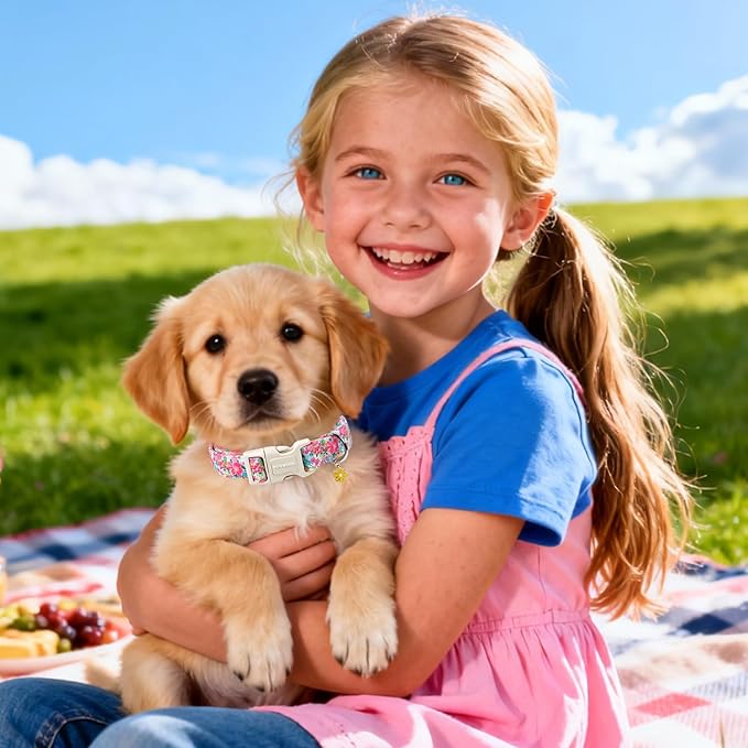 DOGWONG Spring Flower Dog Collar-Cute Floral Daisy Dog Collar, Adjustable Soft Girl Female Dog Collar for Small Medium Dogs, S