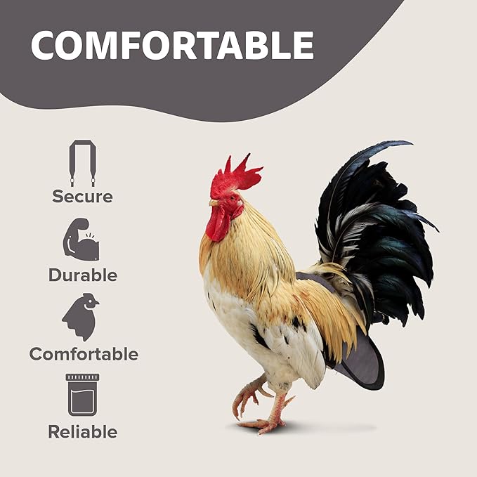 Hen Holster Bird Diaper, Wrap Around - for Hens, Roosters, Ducks, Leak-Proof Design, Comfortable Fleece Strap Bird Harness with Sewn-in Liner, Secure Hook and Loop Closure - Large, Gray