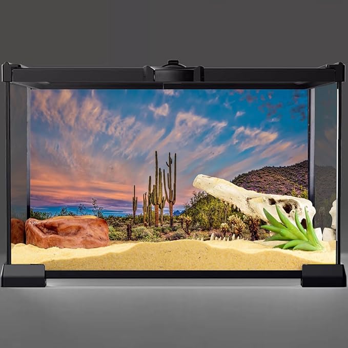 AWERT 72x18 inches Terrarium Background Blue Sky Cloud Huge Cactus Oasis Gobi Reptile Habitat Background Vinyl