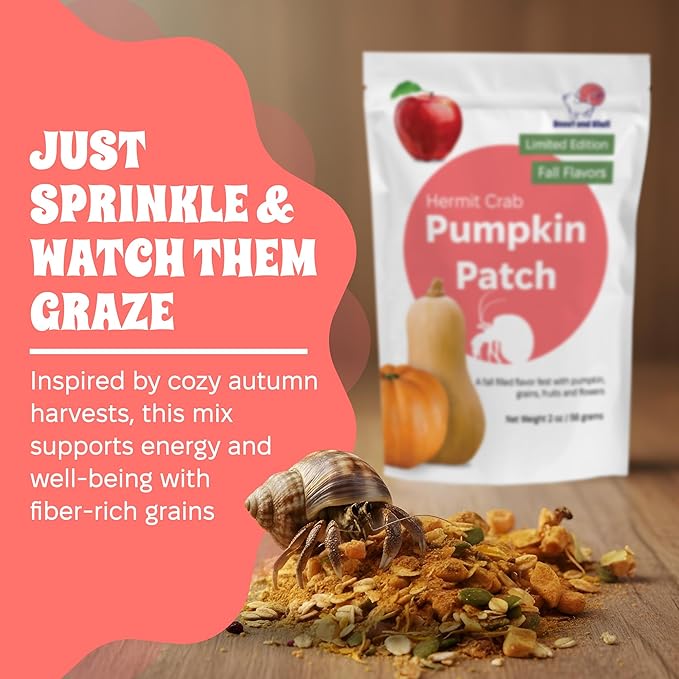 Snout and Shell Pumpkin Patch Hermit Crab Food – Limited Edition Fall Blend with Pumpkin, Squash, Fruits, Grains & Flowers – 2 oz (56g) Natural Seasonal Treat