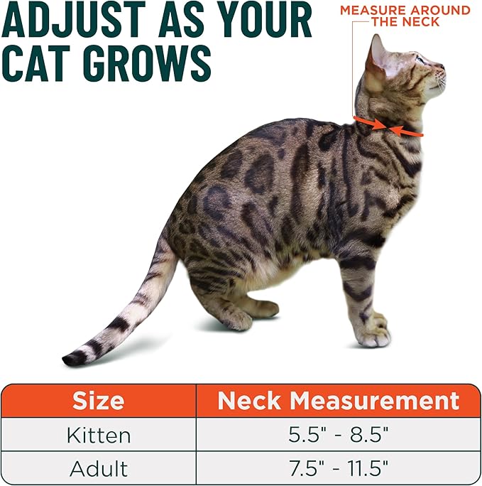 OutdoorBengal Green Breakaway Kitten Collar - Ultra Safe Quick Release Cat Collar for Small Kittens Under 6 Months – Soft-Padded, Lightweight, Adjustable, Thin and Comfortable, No Bell (Green, Kitten)