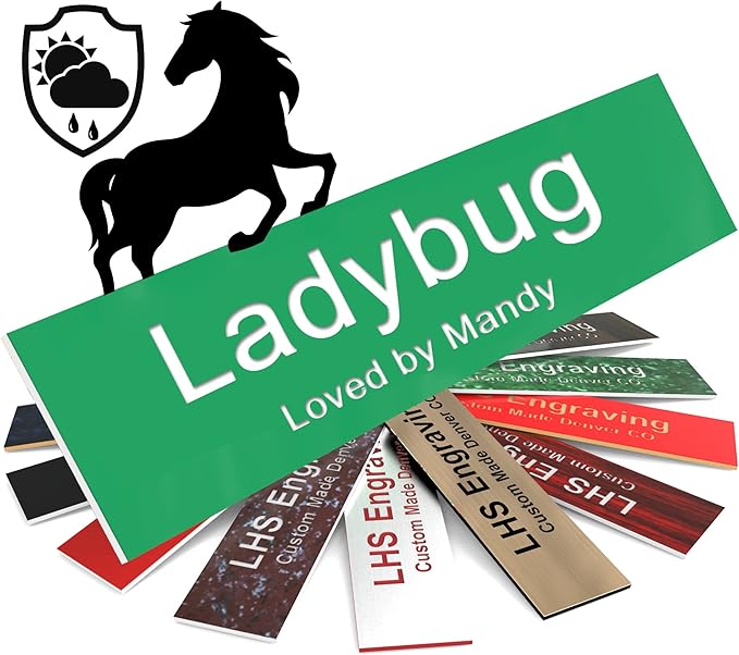 Horse Stall Name Plate, 2x6 Personalized Stall Signs, UV Protected, All Weather Adhesive, Hanging, Mounting or Other, Green Plastic with White Letters - Made in USA - B6