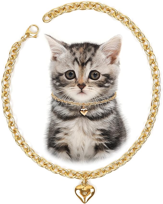HOWWFALY Dog Collar and Cat Chain Necklace Stainless Steel Adjustable 18K Gold Heart-Shaped Necklace for Small Pets Cats Kitten Puppy (Gold, 7 inch)
