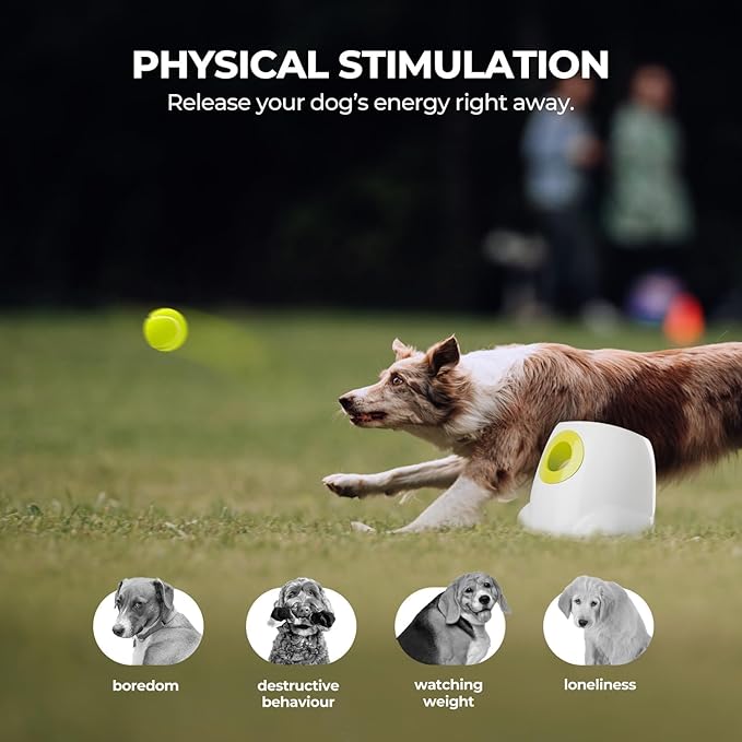 ALL FOR PAWS Automatic Ball Launcher for Dogs Interactive Puppy Pet Ball Outdoor Thrower Fetch Machine, 6 Balls Included (2.5 inch) for Medium to Large Dogs, Rechargeable Battery