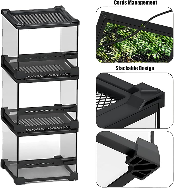 Woyrise Reptile Glass Terrarium Tank 8"x8"x5.7", Front & Top Opening Door Full View Visually Appealing Mini Reptiles or Amphibians Habitat, Stackable Enclousure for Small Reptiles