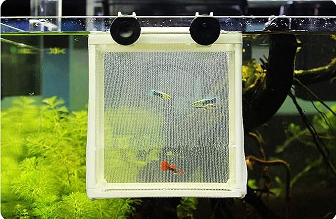 COMOK Fish Hatchery Breeder Box Aquarium Separation Net Nylon Incubator Mesh Fish Breeding Tanks Isolation Box White Square 20PCS