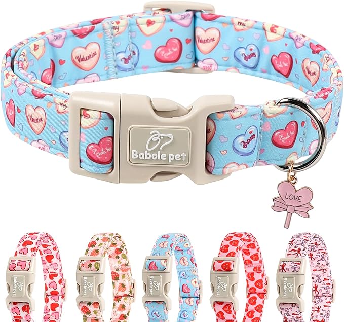 Valentines Dog Collar for Small Dogs - Valentine Candy Hearts Dog Collars, Love Boy Girl Dogs Collars, Lightweight Adjustable Cute Blue Puppy Collar with Quick-Release Buckle XS