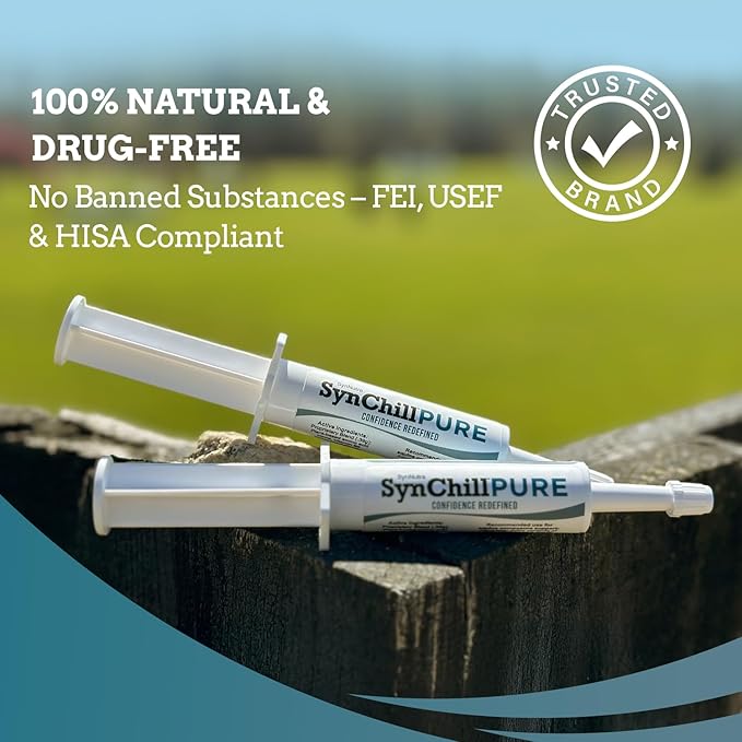 SynNutra Equine SynChill Pure – Non-Sedative Disposition Support for Horses – Plant-Based, L-Theanine-Free Formula for Calm, Confident Performance – 100% Natural & Competition Safe