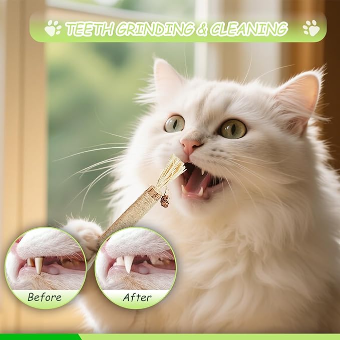 Cat Chew Toys, 11 Pack Kitten Catnip Toys Silvervine Sticks for Indoor Cats Teeth Cleaning, Interactive Treat Stretch Dental Chew Rope with Bell Feather
