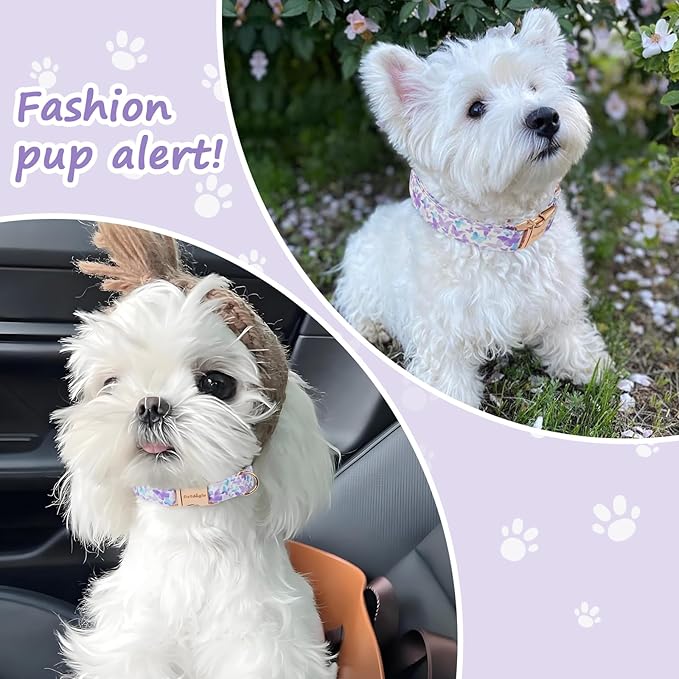 Elegant Butterfly Dog Collar, Purple Blue Gradient Design Collars for Dogs, Adjustable Comfortable for Small Medium Large Dogs, Handmade Cotton Puppy Collar for Daily Walks 、Park Adventures-L