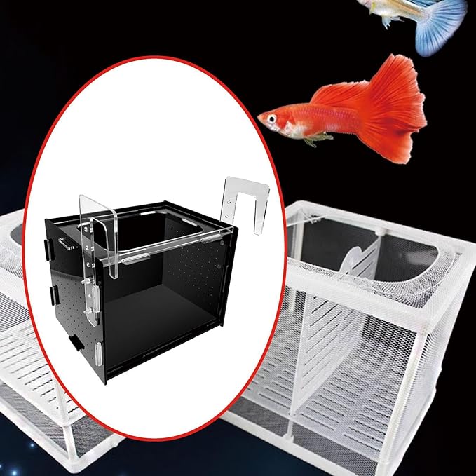 Fish Breeding Box Hatchery Sturdy Clear Acrylic Separation Incubator Isolation Box for Clownfish Betta Baby Fish Guppy, 20x15x15cm