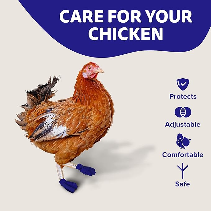 Chicken Shoes for Injured Feet – Protective Neoprene Footwear for Chicken, Open-Toe Design for Bumblefoot Relief, Made in USA - Standard, 3" Max. Inside Width, Royal Blue