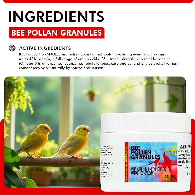 Morning Bird Bee Pollen Granules 1 Oz – Naturally Immune Support & Protein Powder for Birds – Boosts Strength, Feather Health & Energy Supplements – Easy to Mix with Food for All Bird Types