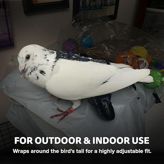 Bird Diaper, Wrap Around, for Larger Pigeons, Small Breed Hens and Roosters, Leak-Proof Design, Comfortable Fleece Strap Bird Harness with Sewn-in Liner & Secure Hook and Loop Closure - XS, Green