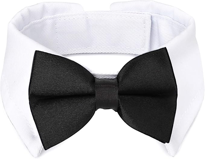 Segarty Bow Tie Cat Collar for Neck Girth 8.8-10.5 in, Tux Puppies Dog Bowtie with Handcrafted Adjustable White Collar Formal Pet Cats Necktie for Cats Small Dog Wedding Party