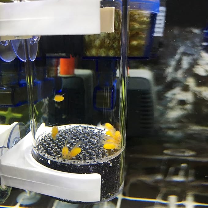 WEAVERBIRD 50mm Fish Hatchery Incubator, Aquarium Cichlids Egg Tumbler for Breeding in Tank