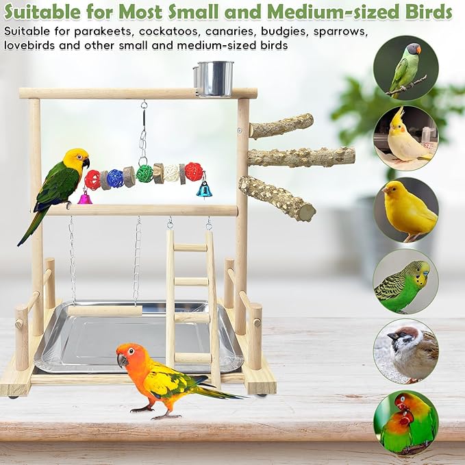 kathson Bird Playground Natural Wood Parrot Play Gym Playstand Wooden Parakeet Playpen with Feeder Cups Perches Removable Tray Bird Cage Accessories for Lovebirds Conure Cockatiel Budgie