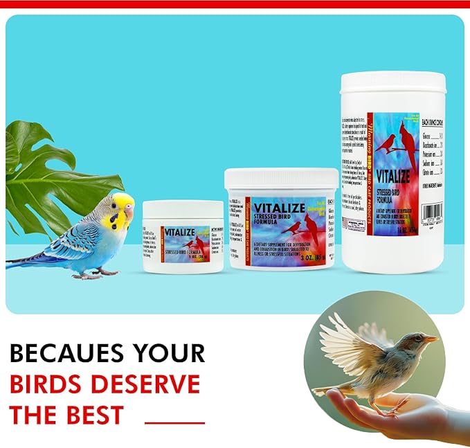 Morning Bird Vitalize for Birds 1 Oz – Stress Relief & Dehydration Supplement – Supports Hydration, Energy, Balance & Muscle Recovery – Easy Water-Soluble Supplement for All Bird Species.