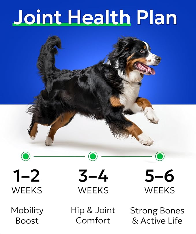 Glucosamine Chondroitin Dog Hip & Joint Supplement - Joint Pain Relief - Hip & Joint Chews for Dogs - Joint Support Large Breed - Senior Doggie Vitamin Pills Joint Health (240 Treats - Peanut Butter)