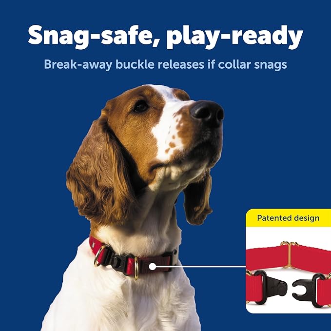 PetSafe KeepSafe Collar for Dogs - Protects Against Collar Accidents - Long Lasting - Durable - Adjustable - Breakaway - Outdoor-Safe - Medium - 3/4 In. Wide - Black
