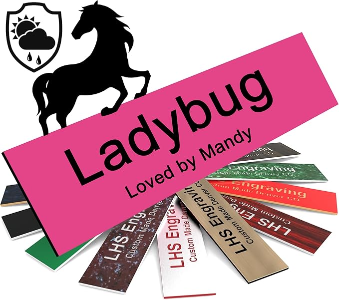 Personalized Horse Stall Name Plates, 2x6 Horse Stall Signs with Adhesive, All Weather UV Protected, Pink Plastic Black Letters - Made in USA - B12