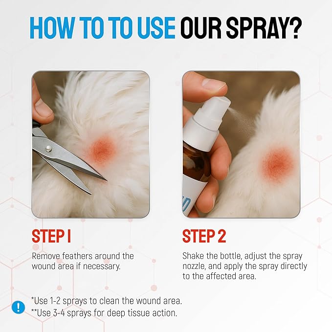 SILVER GRADE Wound Spray for Chicken from Birds & Chicken Antibiotics Alternative to Help with Pecking Sores, Bumblefoot, Cuts – Poultry Spray with Silver – GMOs Free – 4-Oz Bottle