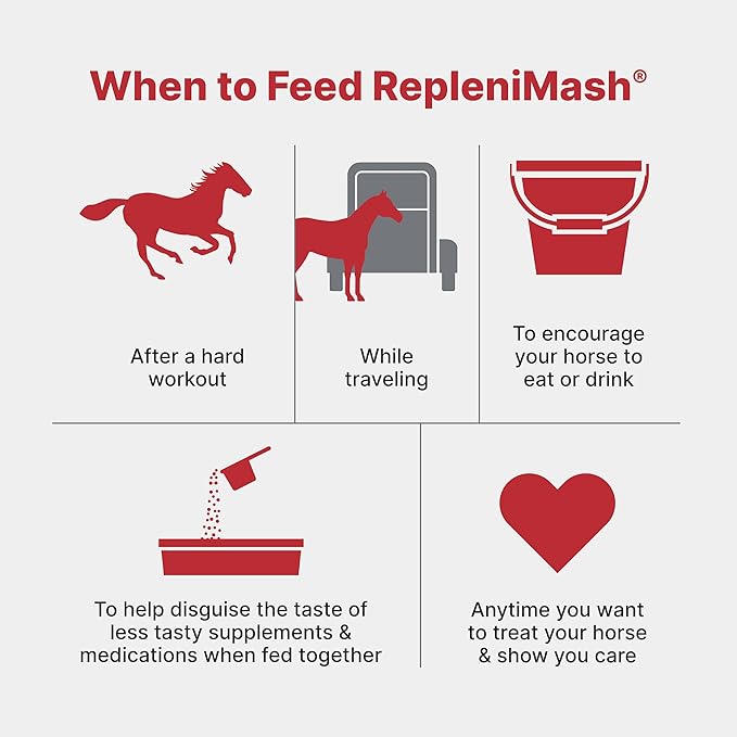 Purina | RepleniMash™ Product | for Horse Recovery | 25 Pound (25 LB)