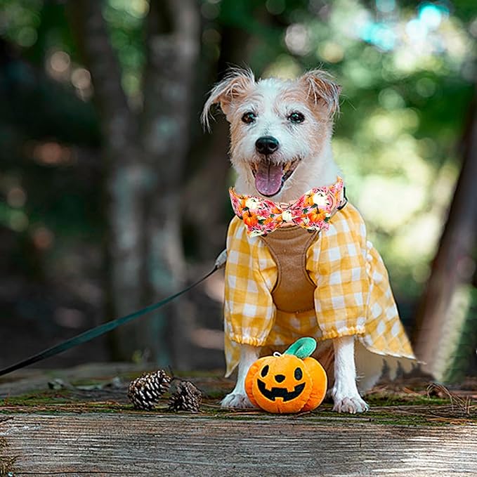 Fall Dog Collar, Pink Flower Pumpkin Print Adjustable Pet Collar Cute Cotton Soft Collars with Bow Tie Metal Buckle Holiday Puppy Collars Boy&Girl Gift for Small Dogs