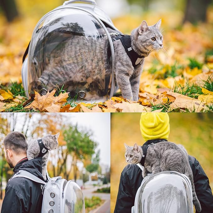 Cat Backpack Carrier, Pet Cat Carrier with Ventilated Design for Carrying Puppy Cats, Pet Carrier Backpack for Traveling/Hiking/Camping/Outdoors Airline Approved Travel Carrier(Grey)