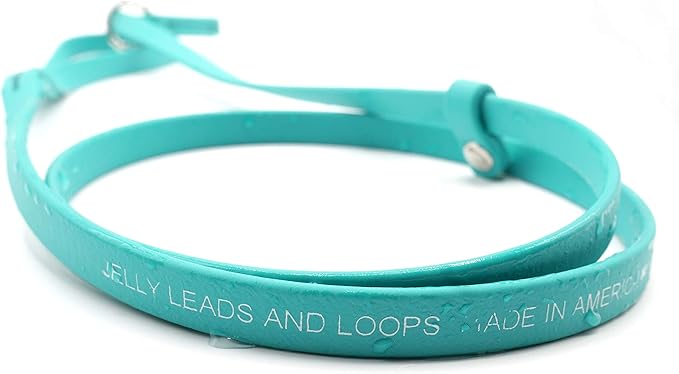Jelly Pet Grooming Lead for Dogs | Great for Kennels, Veterinarians and Dog Grooming Salons | Biothane Leash - Easy to Clean, Waterproof & Durable Noose Loop | Made in USA | 3/8'' x 4' Royal Blue