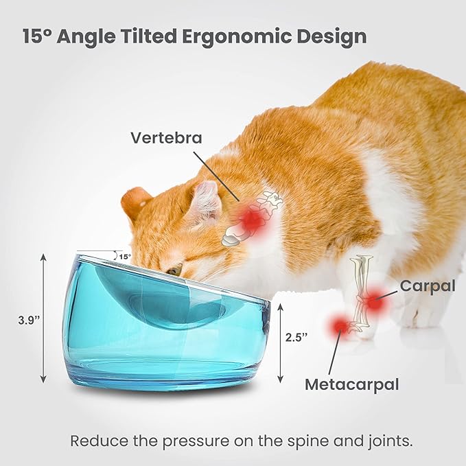 Felli Oblik Elevated Cat Bowl Removable Stainless Steel Wide Dish for Dry Wet Food Feeding & Dishwasher Clean, Slanted Whisker Fatigue Friendly Metal Plate + Acrylic Base Non Slip (0.5Cup Sapphire)