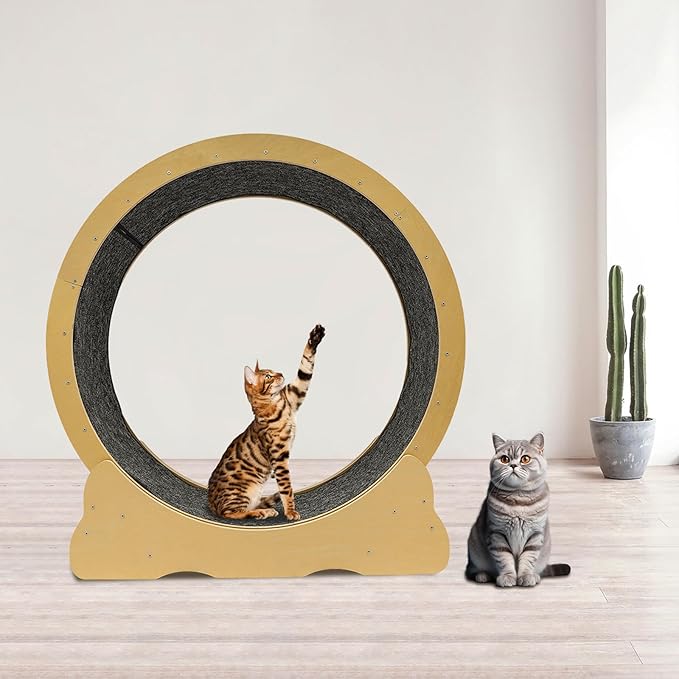 Cat Exercise Wheel, Cat Treadmill for Indoor with Fish-Shaped Clasp & Hook and Loop Fastener Capacity 50Kg/ 110.23Lbs Runway 30.5Cm/ 12 Inch for 11.02-16.53Lbs Small Dogs (Original Wood Color)